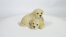 Load and play video in Gallery viewer, 87637-B - Baby Labradors Playing
