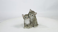 Load and play video in Gallery viewer, 87757-U - Kittens Hugging - Grey
